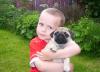 To love is to hug a pug