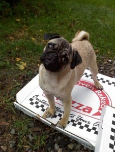 Lucia Maria guarding a pizza box.