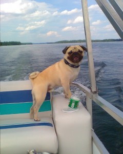 Captain Rosco