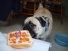 Max and his Birthday Cake