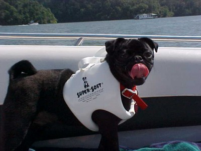 OLIVER AT THE LAKE HOUSE