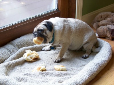 Maggie & the Croissant