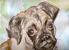 Marley in Watercolor