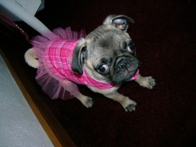 Minnie in her tutu