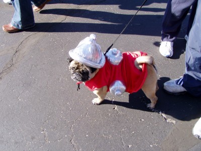 Fire Hydrant Pug