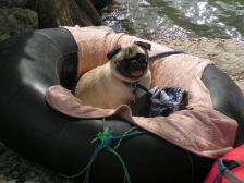 Floating the Guadalupe River