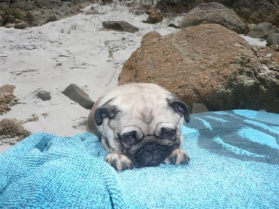 Day at the beach