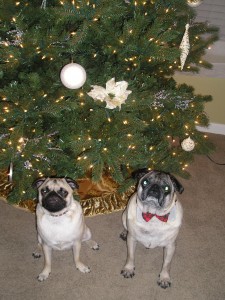 Sophie & Sir Wallace Christmas 2008