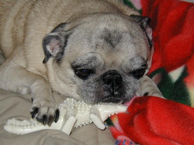 Sleeping with my bone...