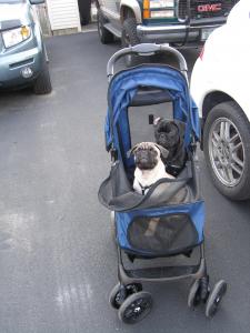 Stroller