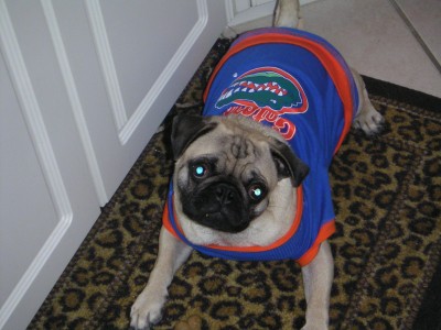 Go Gators!!