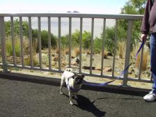 Penny at Gariep Dam, South Africa