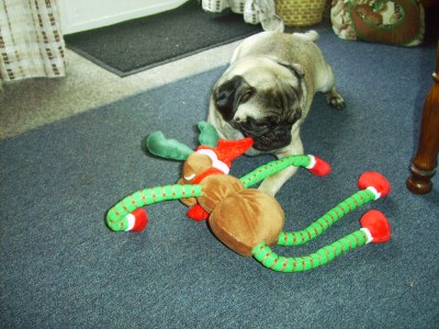 Penny's favourite Christmas toy.