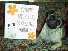 Penny sends get well wishes to Sol!