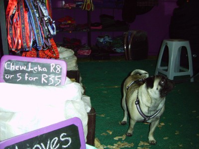 Penny's favourite Festival stall!