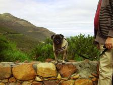 Penny at the top of Chapman's Peak, Cape Town