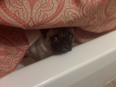 Peeking in the Tubby