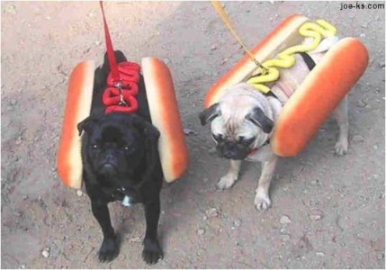 Hot Pugs