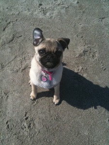 Zoe Claire's first trip to the beach!