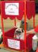 Piper raising donations for Southeast Pug Rescue & Adoption