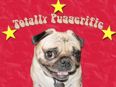 Totally Puggerific