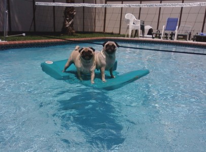 The boys on their raft