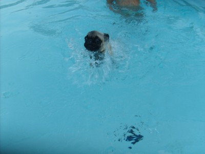 Levi at the pool