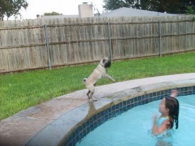 Levi at the pool