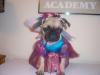 summer the pug fairey