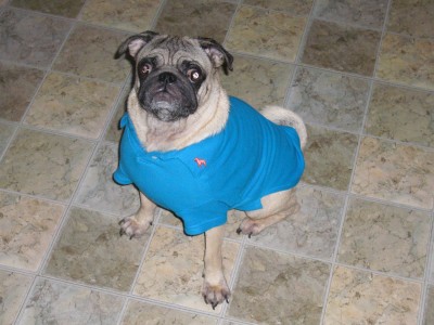 Sam in his pretty new polo