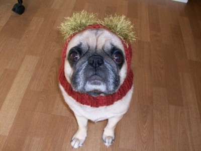 Santiago in His Hat