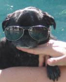 Looking Cool in the Pool