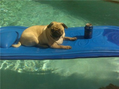 Floating in the pool