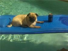 Floating in the pool