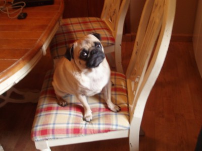 Maddy in chair