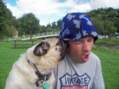 Pug Licks for dad