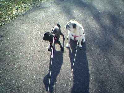 The girls out for a walk