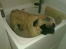 Baff time