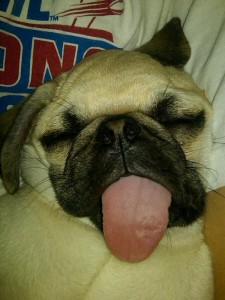 Whatta tongue Hank!