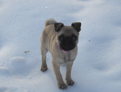 Zoe Claire in the snow