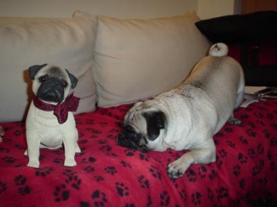 Beasley & the pug statue