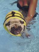 Bella's swimming lesson