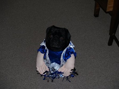 Pugsley-the male cheerleader