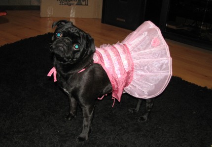 Gracie's 1st Birthday dress