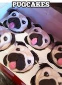 Pugcakes!