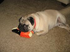 Frank with his favorite fish!