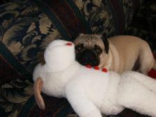 George and His stuffy.