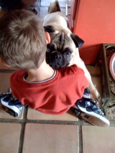 Pug Hug