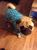 Sam's new pjs!