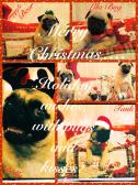 Merry christmas from the pugs 2013